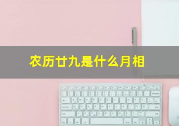 农历廿九是什么月相