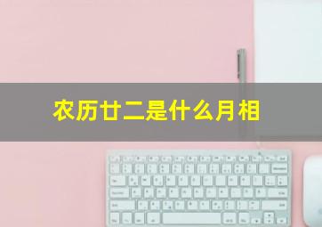 农历廿二是什么月相