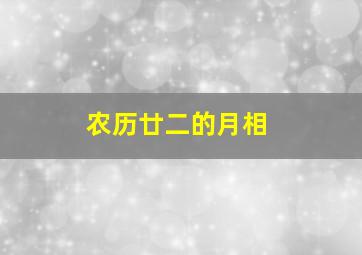 农历廿二的月相