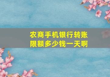 农商手机银行转账限额多少钱一天啊