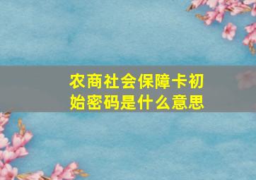 农商社会保障卡初始密码是什么意思