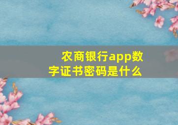 农商银行app数字证书密码是什么