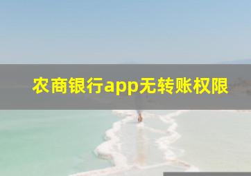 农商银行app无转账权限