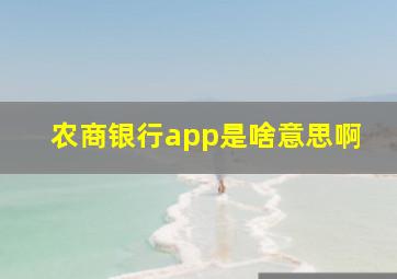 农商银行app是啥意思啊