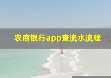 农商银行app查流水流程