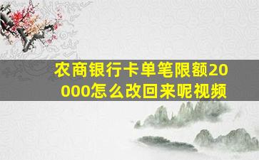 农商银行卡单笔限额20000怎么改回来呢视频