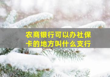 农商银行可以办社保卡的地方叫什么支行