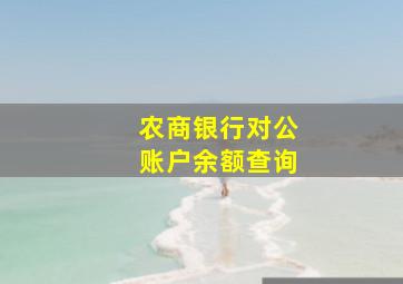 农商银行对公账户余额查询