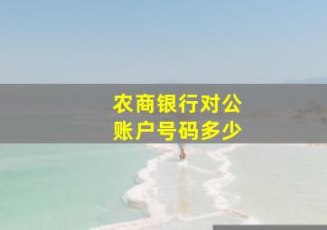 农商银行对公账户号码多少