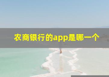 农商银行的app是哪一个