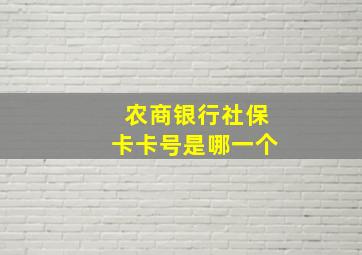 农商银行社保卡卡号是哪一个