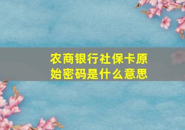 农商银行社保卡原始密码是什么意思