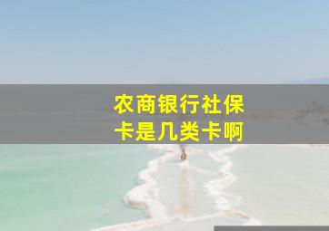 农商银行社保卡是几类卡啊