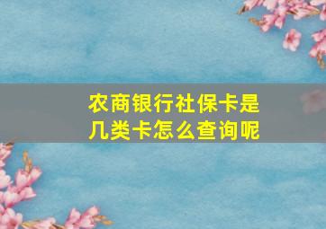 农商银行社保卡是几类卡怎么查询呢