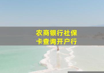 农商银行社保卡查询开户行