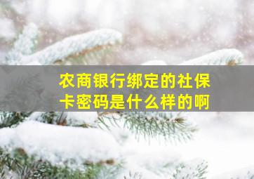 农商银行绑定的社保卡密码是什么样的啊