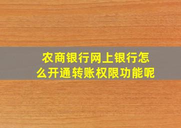 农商银行网上银行怎么开通转账权限功能呢