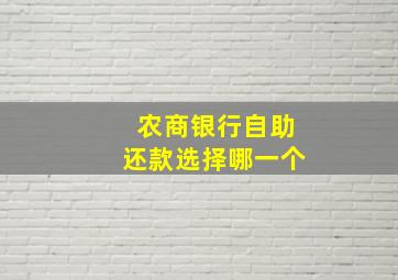 农商银行自助还款选择哪一个