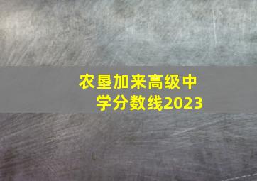 农垦加来高级中学分数线2023