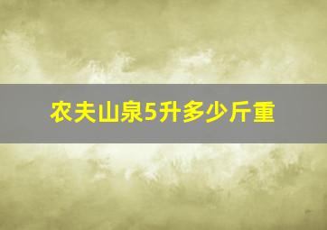 农夫山泉5升多少斤重