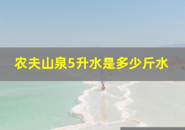 农夫山泉5升水是多少斤水