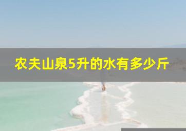 农夫山泉5升的水有多少斤