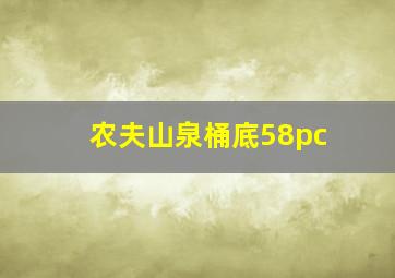 农夫山泉桶底58pc