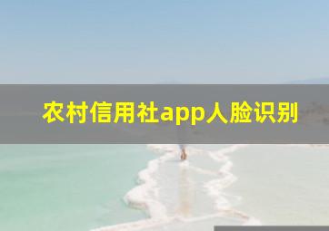 农村信用社app人脸识别