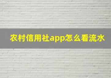 农村信用社app怎么看流水