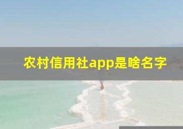 农村信用社app是啥名字