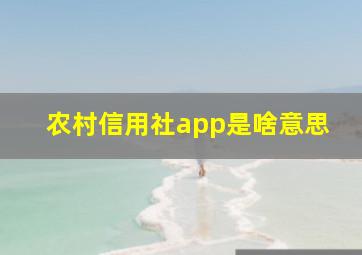 农村信用社app是啥意思