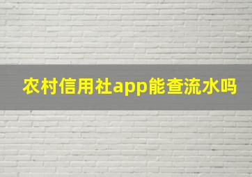 农村信用社app能查流水吗