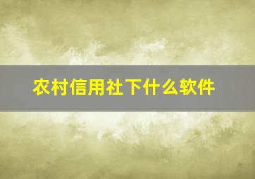 农村信用社下什么软件