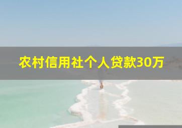 农村信用社个人贷款30万