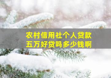 农村信用社个人贷款五万好贷吗多少钱啊