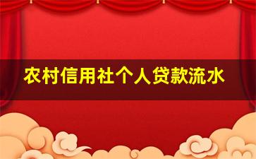 农村信用社个人贷款流水