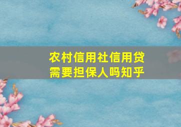 农村信用社信用贷需要担保人吗知乎