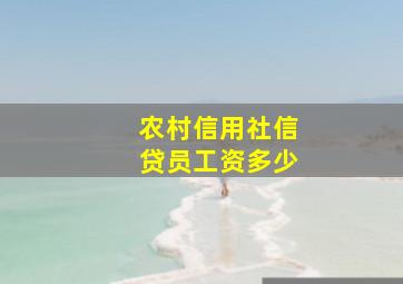 农村信用社信贷员工资多少