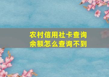 农村信用社卡查询余额怎么查询不到