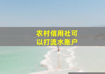 农村信用社可以打流水账户