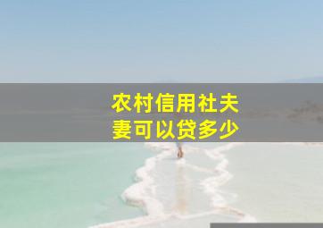 农村信用社夫妻可以贷多少