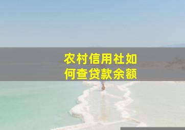 农村信用社如何查贷款余额