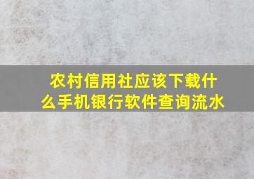 农村信用社应该下载什么手机银行软件查询流水