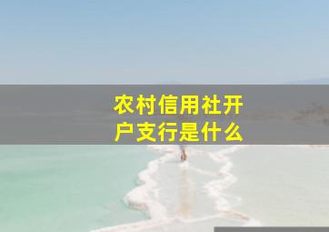 农村信用社开户支行是什么