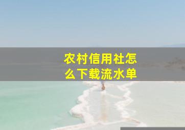 农村信用社怎么下载流水单