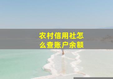 农村信用社怎么查账户余额