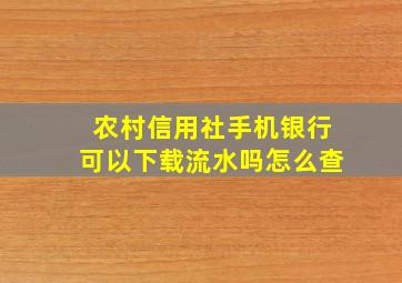 农村信用社手机银行可以下载流水吗怎么查