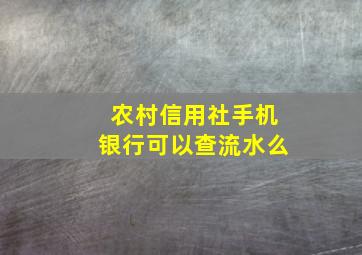 农村信用社手机银行可以查流水么