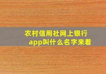 农村信用社网上银行app叫什么名字来着