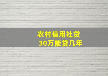 农村信用社贷30万能贷几年